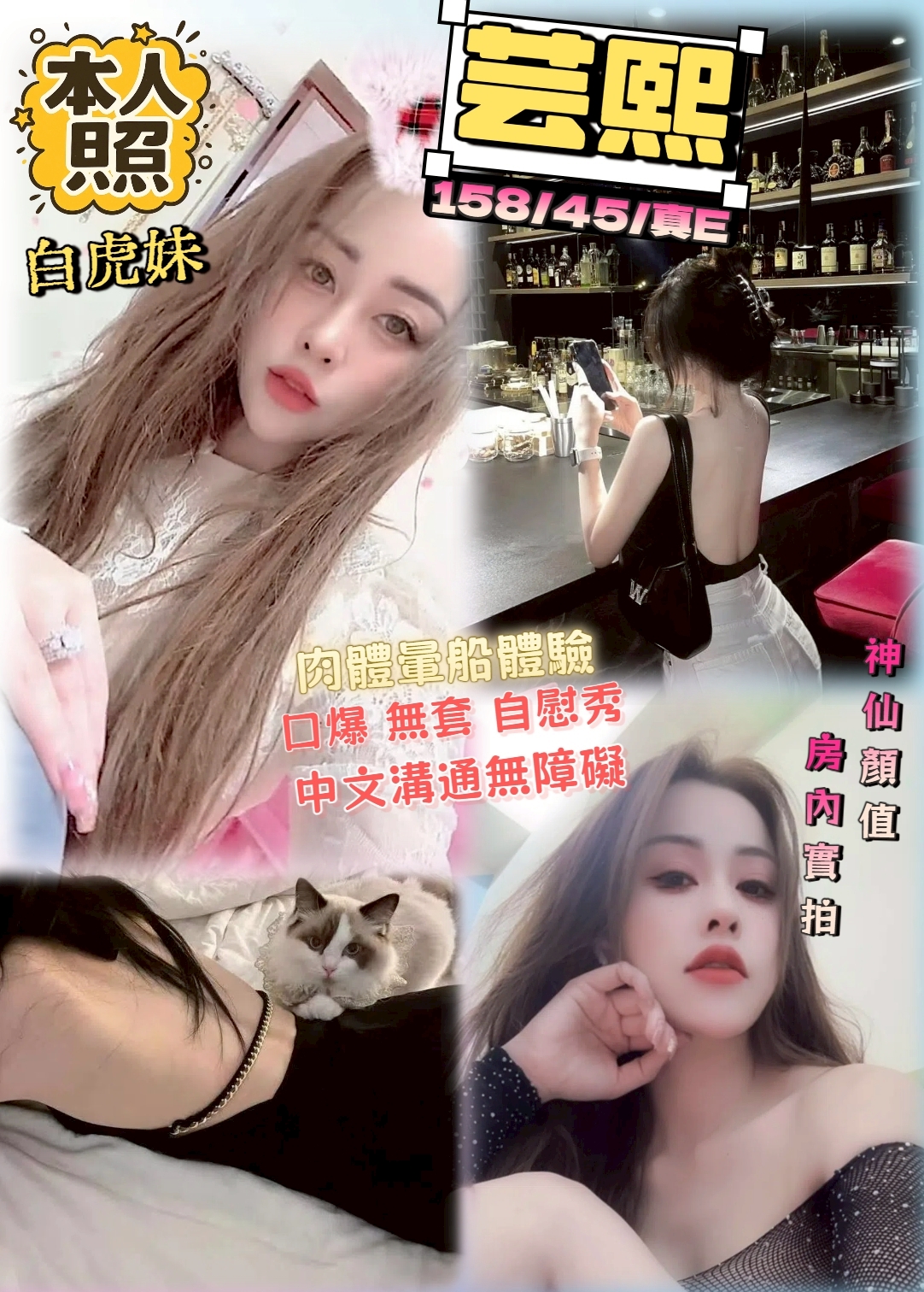 COCO定點 靈卉 金門 34D